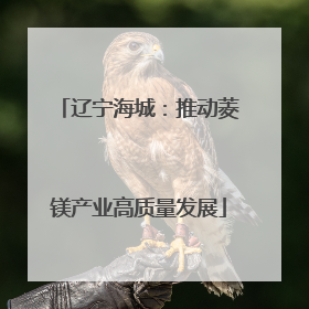 辽宁海城：推动菱镁产业高质量发展