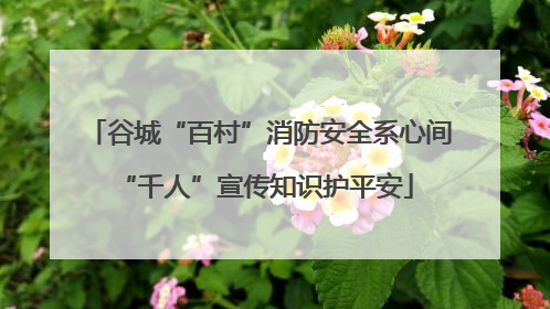 谷城“百村”消防安全系心间 “千人”宣传知识护平安