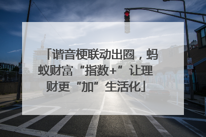 谐音梗联动出圈，蚂蚁财富“指数+”让理财更“加”生活化