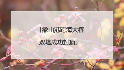 象山港跨海大桥双塔成功封顶
