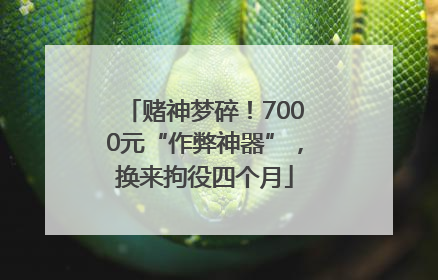 赌神梦碎！7000元“作弊神器”，换来拘役四个月