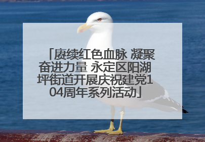 赓续红色血脉 凝聚奋进力量 永定区阳湖坪街道开展庆祝建党104周年系列活动