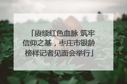 赓续红色血脉 筑牢信仰之基，枣庄市银龄榜样记者见面会举行
