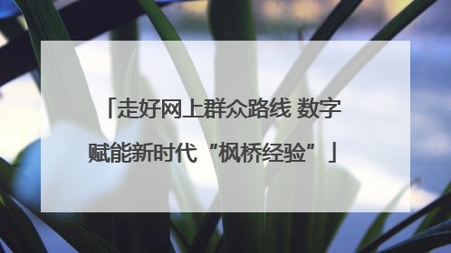 走好网上群众路线 数字赋能新时代“枫桥经验”