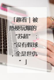 趣看｜被热梗玩爆的“苏超”：“没有假球，全是世仇”