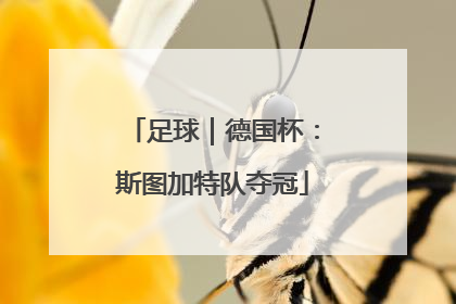 足球｜德国杯：斯图加特队夺冠