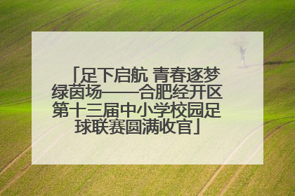 足下启航 青春逐梦绿茵场——合肥经开区第十三届中小学校园足球联赛圆满收官