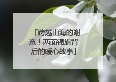 跨越山海的谢意！两面锦旗背后的暖心故事