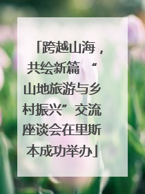 跨越山海，共绘新篇 “山地旅游与乡村振兴”交流座谈会在里斯本成功举办
