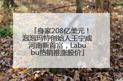 身家208亿美元！泡泡玛特创始人王宁成河南新首富，Labubu热销推涨股价