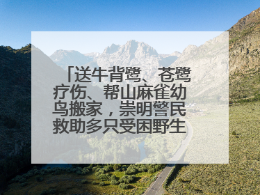 送牛背鹭、苍鹭疗伤、帮山麻雀幼鸟搬家，崇明警民救助多只受困野生保护鸟类