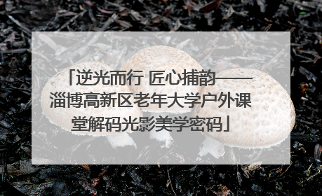 逆光而行 匠心捕韵——淄博高新区老年大学户外课堂解码光影美学密码