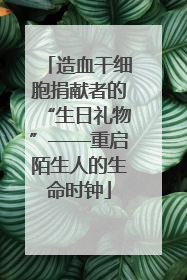 造血干细胞捐献者的“生日礼物”——重启陌生人的生命时钟