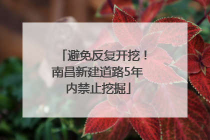 避免反复开挖！南昌新建道路5年内禁止挖掘