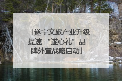 遂宁文旅产业升级提速 “遂心礼”品牌外宣战略启动