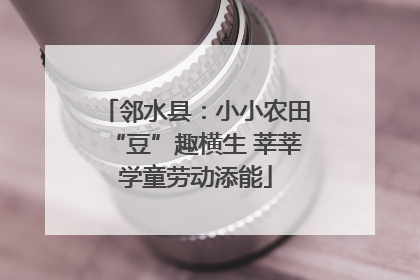 邻水县：小小农田“豆”趣横生 莘莘学童劳动添能