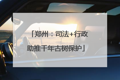 郑州：司法+行政助推千年古树保护