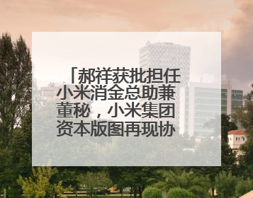郝祥获批担任小米消金总助兼董秘，小米集团资本版图再现协同扩张