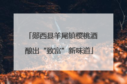 郧西县羊尾镇樱桃酒酿出“致富”新味道