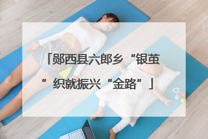 郧西县六郎乡“银茧”织就振兴“金路”