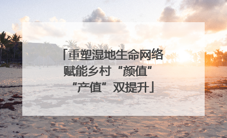 重塑湿地生命网络 赋能乡村“颜值”“产值”双提升
