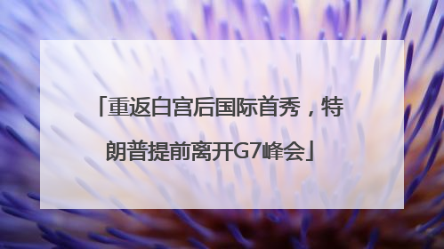 重返白宫后国际首秀，特朗普提前离开G7峰会