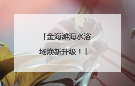金海滩海水浴场焕新升级！