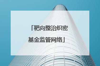 靶向整治织密基金监管网络