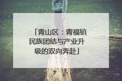 青山区：青福镇民族团结与产业升级的双向奔赴