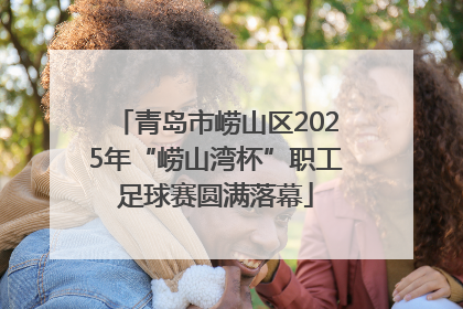 青岛市崂山区2025年“崂山湾杯”职工足球赛圆满落幕