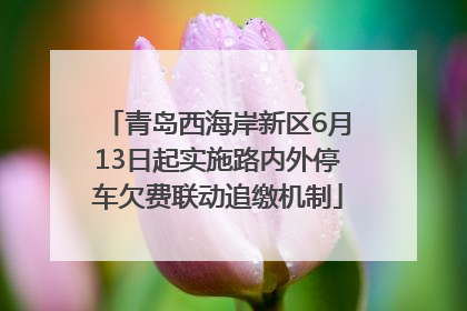 青岛西海岸新区6月13日起实施路内外停车欠费联动追缴机制