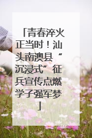 青春淬火正当时！汕头南澳县“沉浸式”征兵宣传点燃学子强军梦