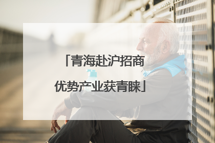 青海赴沪招商 优势产业获青睐
