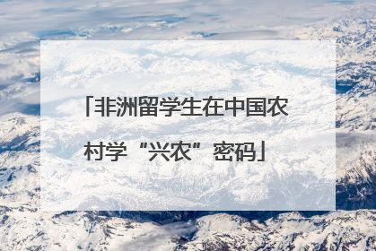非洲留学生在中国农村学“兴农”密码