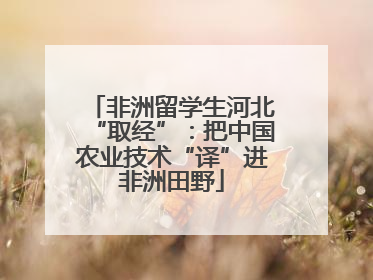 非洲留学生河北“取经”：把中国农业技术“译”进非洲田野