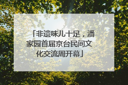 非遗味儿十足，潘家园首届京台民间文化交流周开幕