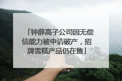 钟薛高子公司因无偿债能力被申请破产，招牌雪糕产品仍在售