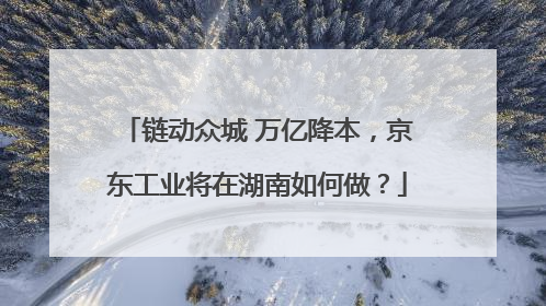 链动众城 万亿降本，京东工业将在湖南如何做？