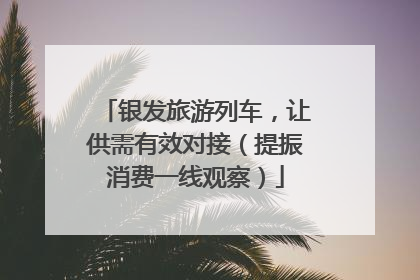 银发旅游列车，让供需有效对接（提振消费一线观察）
