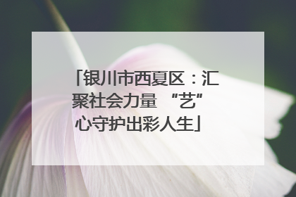 银川市西夏区：汇聚社会力量 “艺”心守护出彩人生