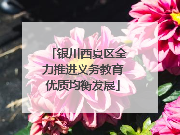 银川西夏区全力推进义务教育优质均衡发展
