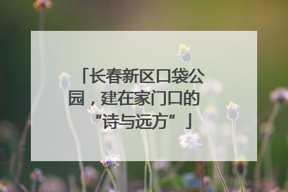 长春新区口袋公园，建在家门口的“诗与远方”