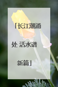 长江潮涌处 活水谱新篇