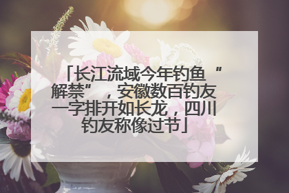 长江流域今年钓鱼“解禁”，安徽数百钓友一字排开如长龙，四川钓友称像过节