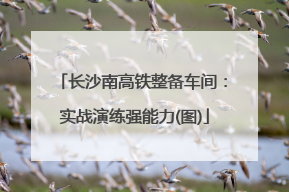 长沙南高铁整备车间：实战演练强能力(图)