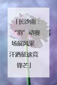 长沙南：“羽”动赛场展风采 汗洒征途竞锋芒