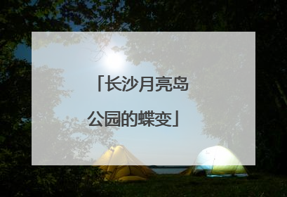长沙月亮岛公园的蝶变