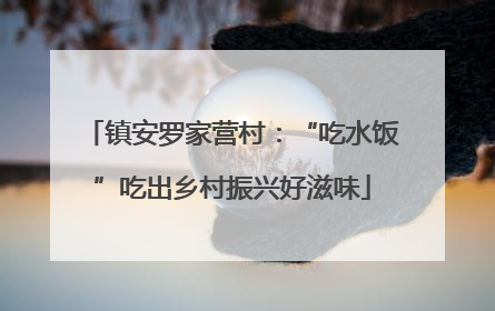 镇安罗家营村：“吃水饭”吃出乡村振兴好滋味