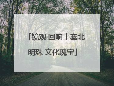 镜观·回响丨塞北明珠 文化瑰宝