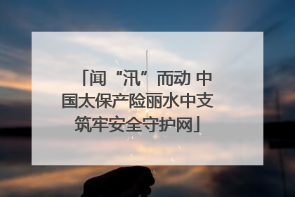 闻“汛”而动 中国太保产险丽水中支筑牢安全守护网